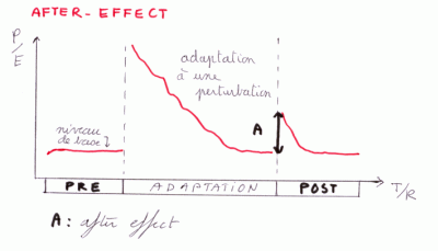 Illustration schématique montrant une courbe dapprentissage lors dune expérience dadaptation Illustration schématique montrant une courbe dapprentissage avec after-effect lors dune expérience dadaptation.